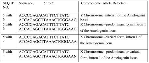 amelogenin|Amelogenin .